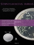 Staphylococcus aureus